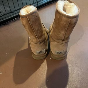 Tan mid calf uggs